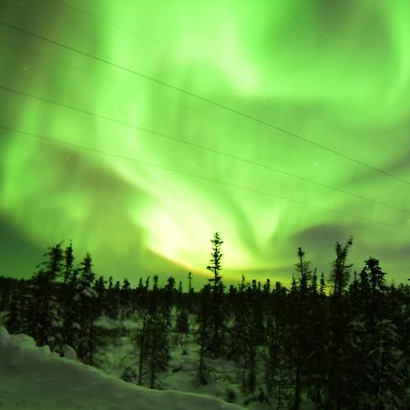 Aurora Deluxe Guest House Yellowknife Luaran gambar